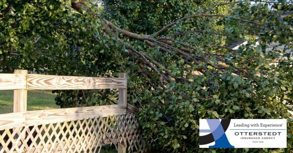 If a Neighbors Tree Falls onto Your Property, What is Covered By The Neighbor's Insurance Policy?